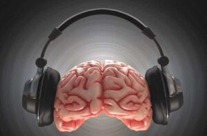 ¿Cómo sabe el cerebro si algo es música?