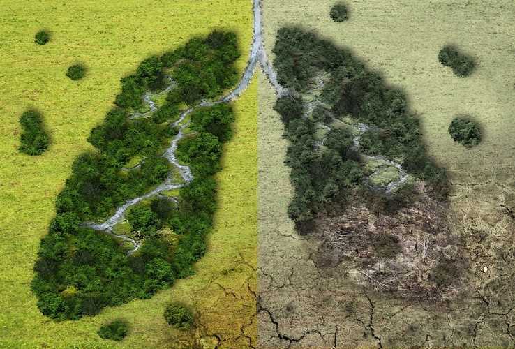 Contaminación del aire