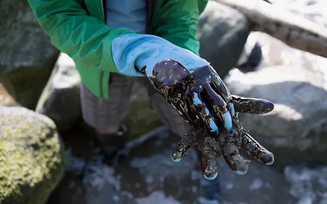 United Petroleo Corp