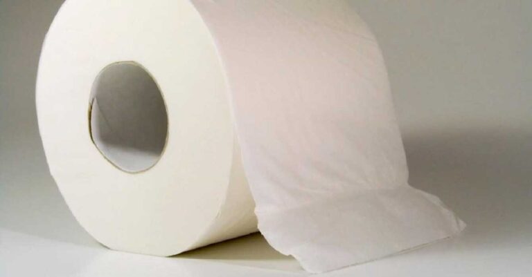 Papel higiénico: su final podría estar cerca, este será su sustituto