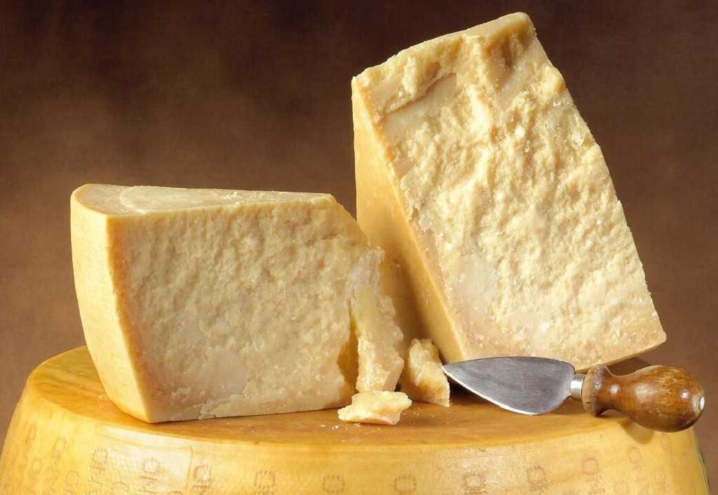 Queso parmesano: descubre cómo se fabrica