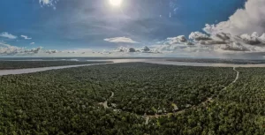 Vista aérea de una zona de la Floresta Amazónica, en el estado de Pará, norte de Brasil, en una fotografía de archivo. EFE/Antonio Lacerda