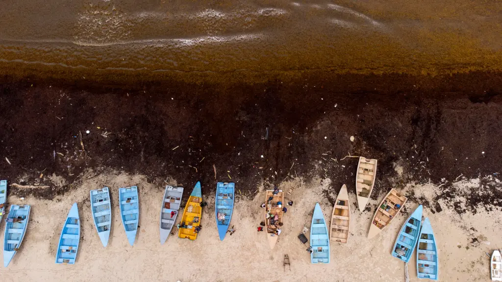 Fotografía aérea tomada muestra botes de pescadores en una playa cubierta de sargazo, una macroalga flotante que forma colonias que llegan a cubrir grandes extensiones y se mueven de acuerdo con las corrientes oceánicas, en Guayacanes (República Dominicana). EFE/Orlando Barría