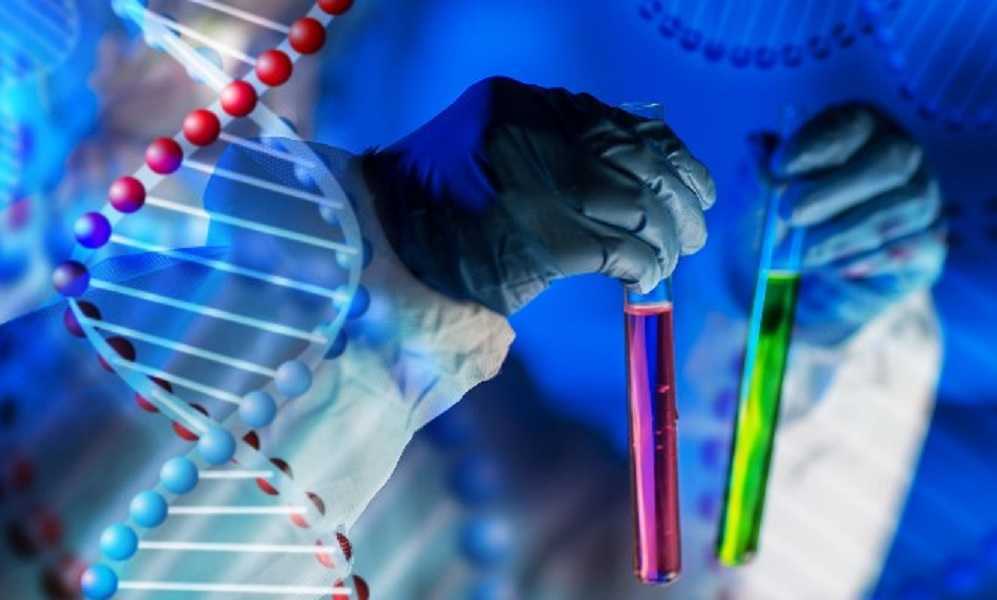ADN, qué puede decir una prueba sobre ti / CuriosaMente CURADAS
