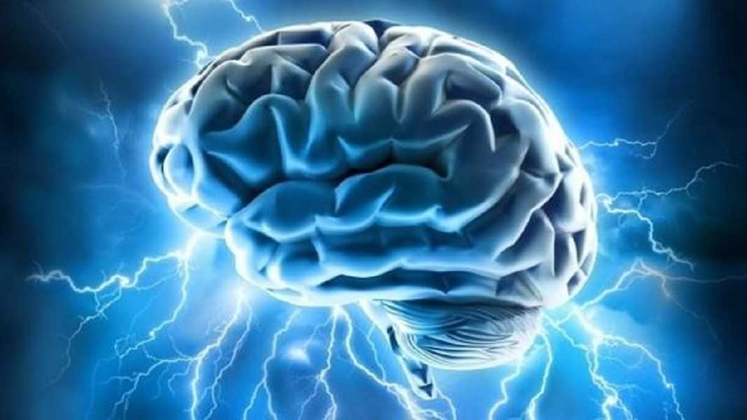 Memoria humana: cuánto tarda el cerebro en retener información