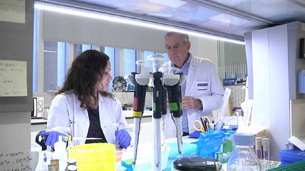 Esclerosis múltiple: identifican el primer marcador genético