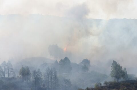Un incendio forestal se ha declarado esta madrugada en el municipio de Puntagorda, en la isla de La Palma,, EFE/Miguel Calero