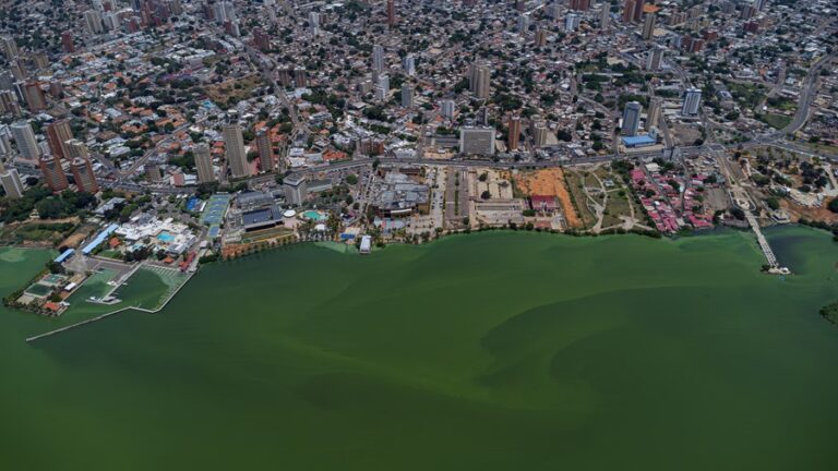 Fotografía aérea que muestra parte de la costa contaminada por desechos, derrames de petroleo y la proliferación de un verdín sobre las aguas del Lago de Maracaibo en el estado Zulia (Venezuela). EFE/ Henry Chirinos
