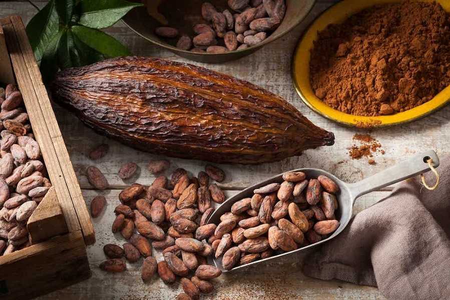 Beneficios del cacao para tu cuerpo: conocelos aquí
