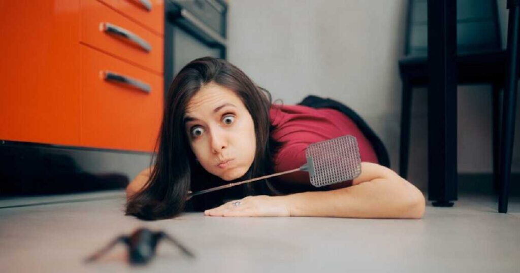 Matamoscas, sabes por qué tienen agujeros