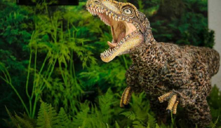 Tachiraptor