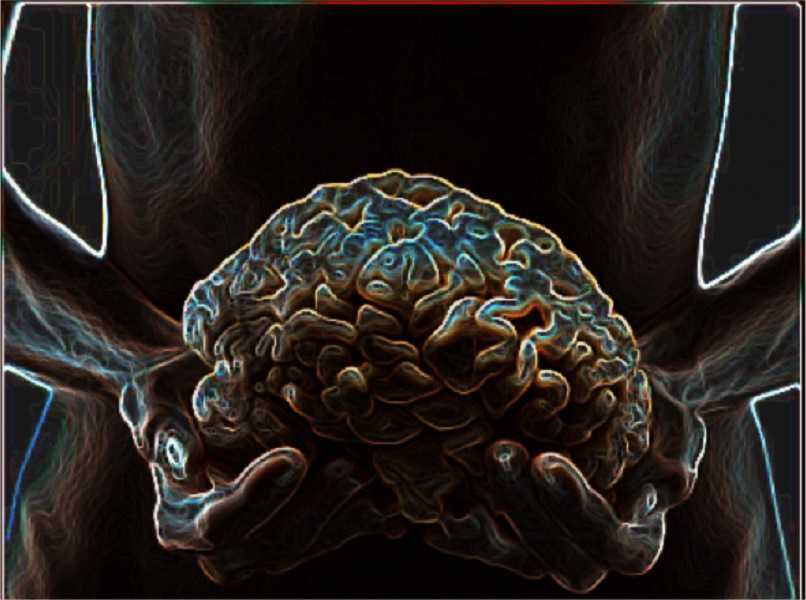 Microbiota: cómo funciona tu segundo cerebro