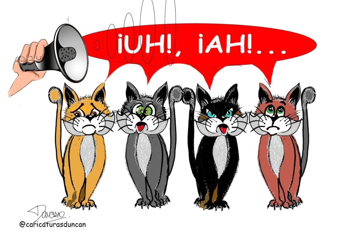 Literalmente - Caricatura de Duncan