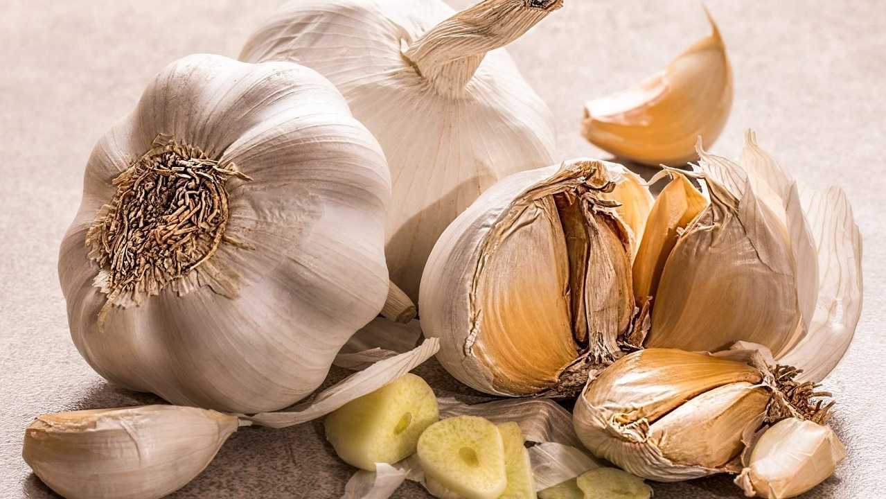 Ajo para aliviar las várices; así se puede usar