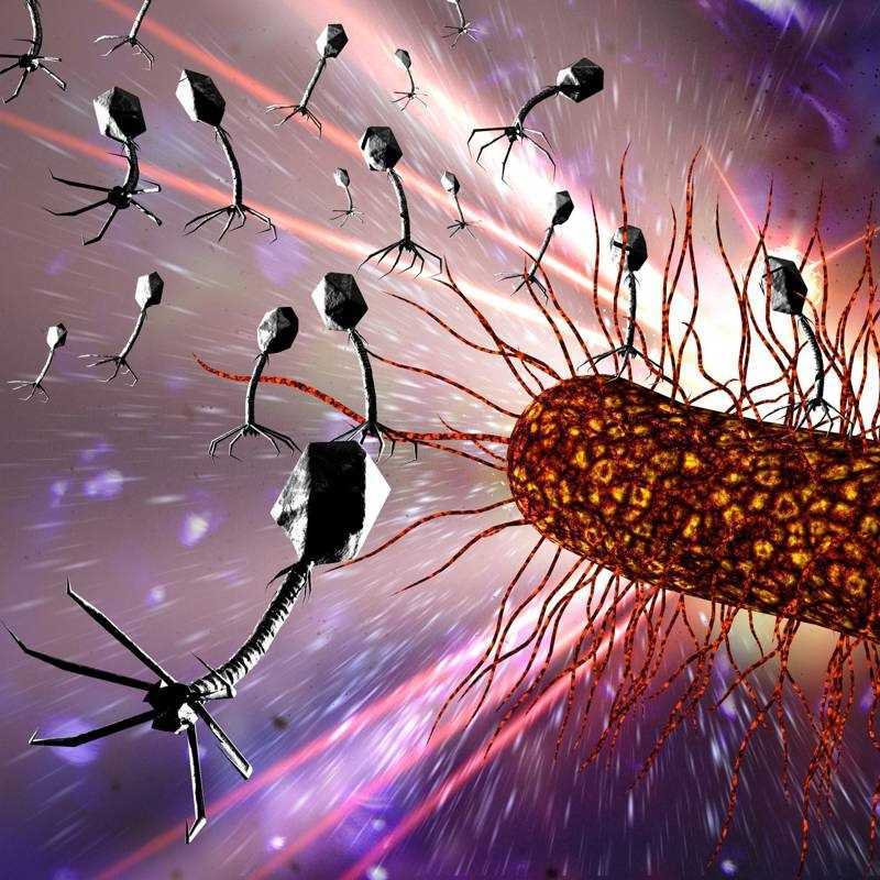 Nueva vacuna es desarrollada para el virus de Epstein-Barr