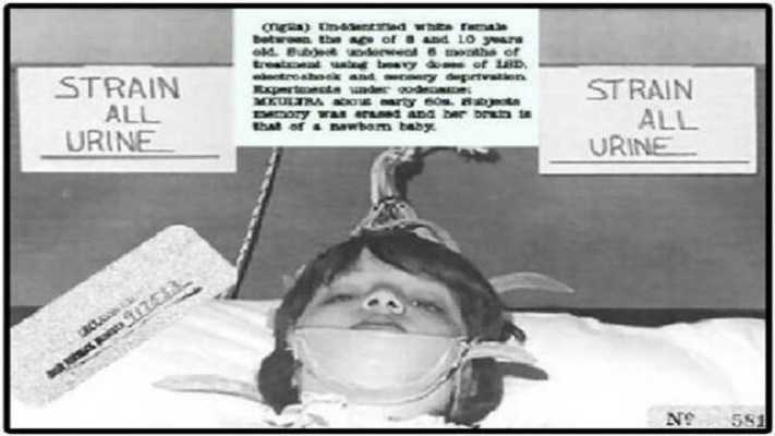 Proyecto MK Ultra