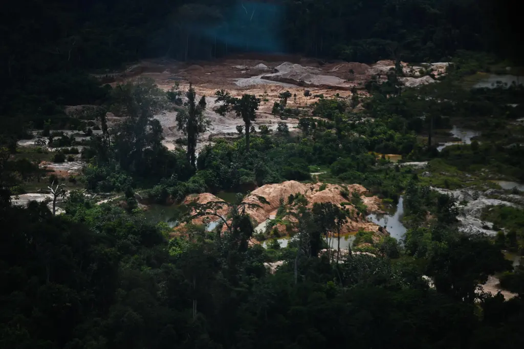 Vista aérea de la destrucción causada por la minería ilegal en la Floresta Ambiental de Altamira, cerca a Itaituba (Brasil). EFE/André Borges