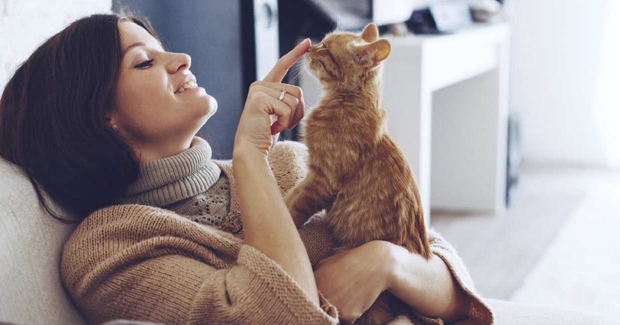 Enfermedades transmitidas por animales: estas son 5 de ellas