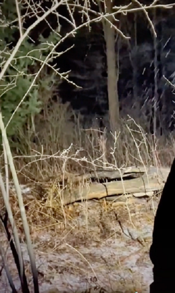 La montaña de Casey Dostert