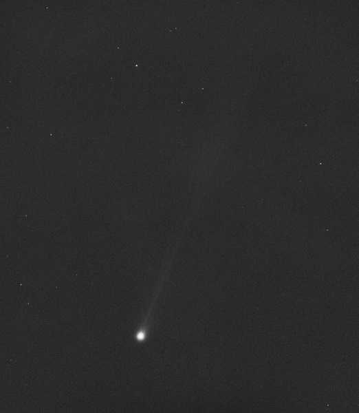 El cometa Nishimura 