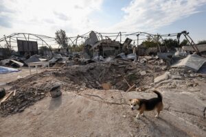 Un cráter provocado por un bombardeo en una granja cerca de la ciudad de Orikhiv, región de Zaporiyia. EFE/EPA/Karetyna Kloschko
