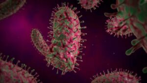 Lyssavirus: el virus más mortal de la Tierra