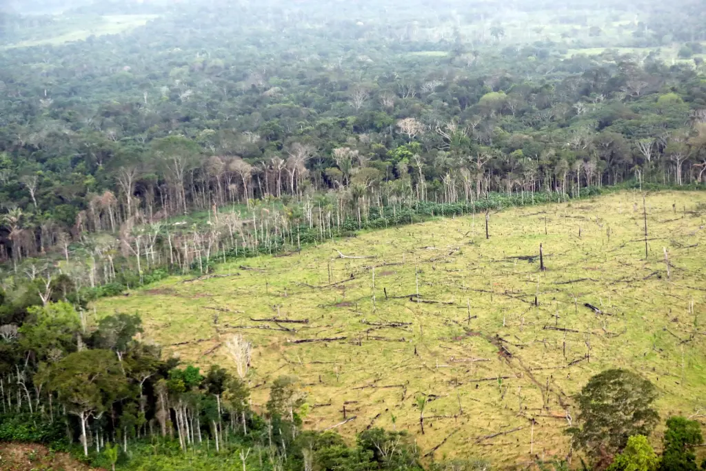 Aspecto general del área deforestada en una zona rural de Colombia. EFE/Mauricio Dueñas Castañeda