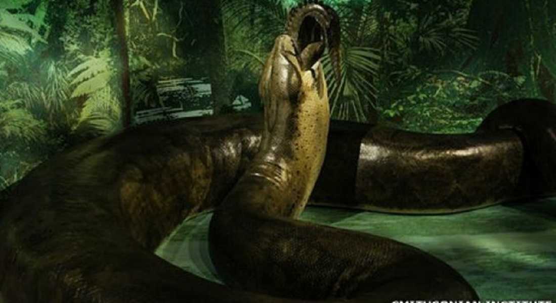 Titanoboa: la serpiente que fue la más grande del mundo
