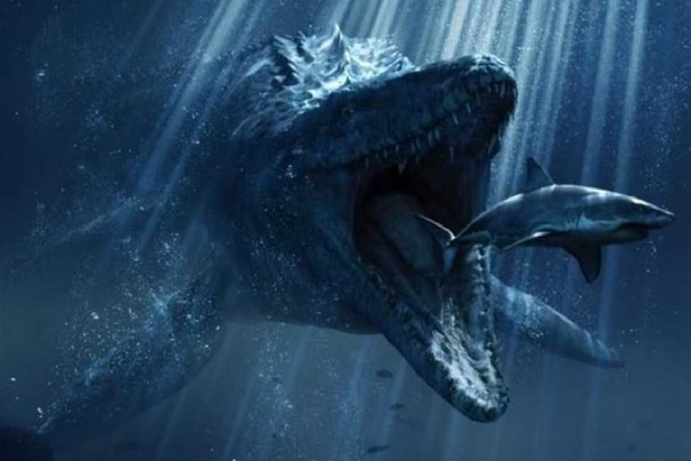 Mosasaurio ofrece pistas sobre la evolución de estas criaturas