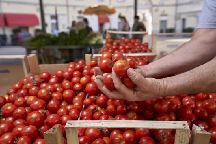 Alimentos antioxidantes
