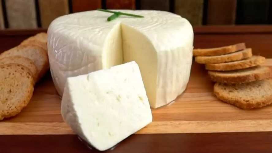 Queso panela artesanal: prepara y disfruta esta deliciosa receta