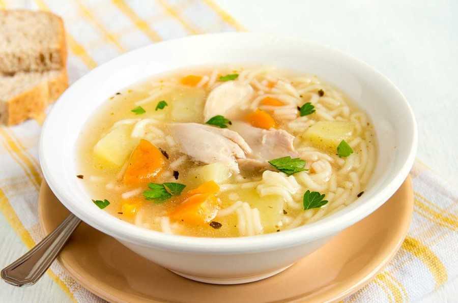 Sopa de pollo con vegetales