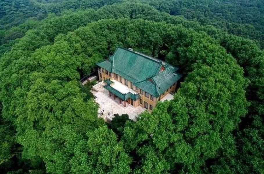 Armonía arbórea: el palacio de Mei-ling y su collar de esmeraldas