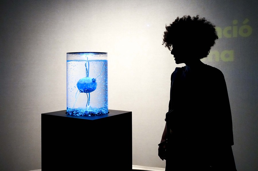 Imagen de archivo de la exposición sobre inteligencia artificial en el Centro de Cultura Contemporánea de Barcelona (CCCB) en octubre de 2023. EFE/ Enric Fontcuberta