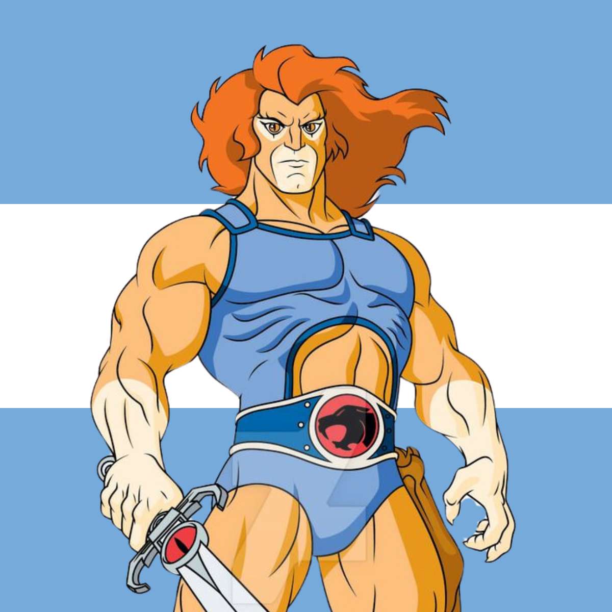 Gocho lo más interesante del acto de juramentación de Javier Milei