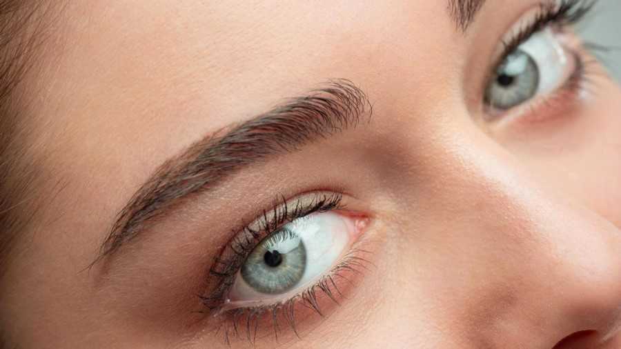 El ojo humano y su asombrosa complejidad