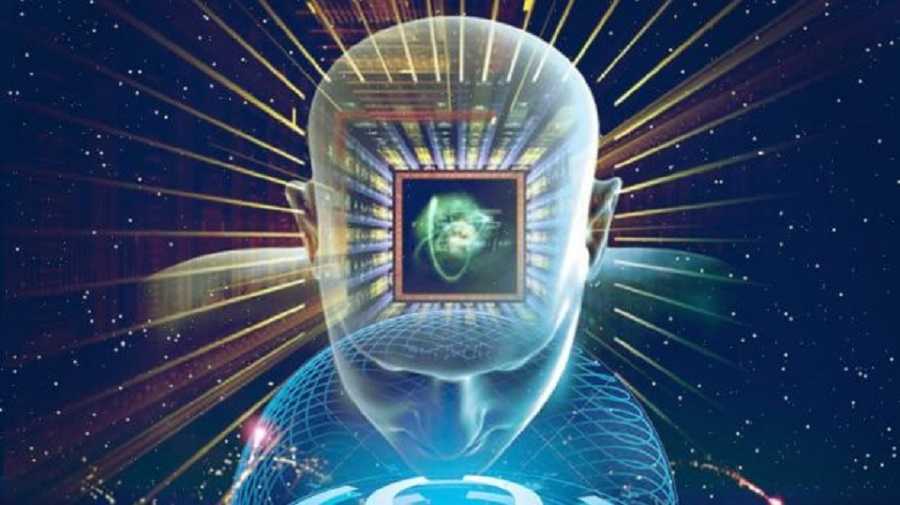 El origen de la consciencia: evolución en los seres