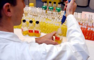 Fotografía en la que pueden observarse unas muestras de orina en un laboratorio. EFE/Durand Florence