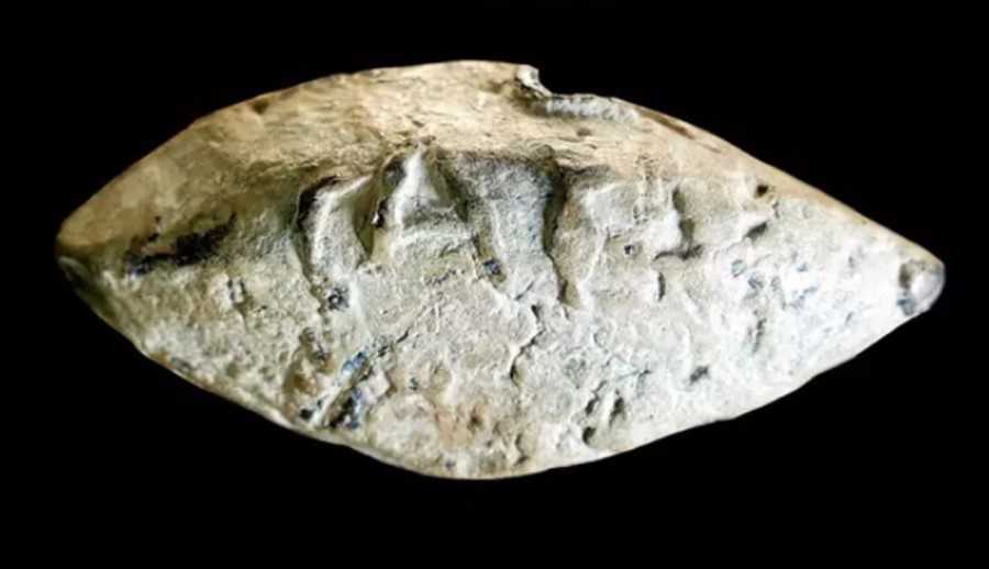 Proyectil con inscripciones es hallado en Córdoba