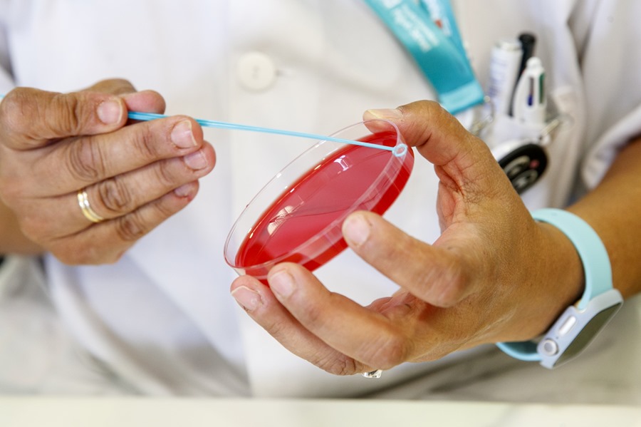 Personal técnico de un laboratorio prepara unas muestras para analizar. EFE/Javier Cebollada/Archivo