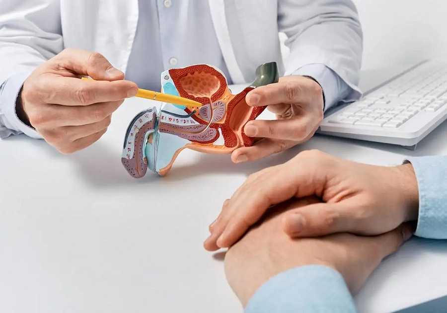 Erecciones: cómo funciona y como potenciarla