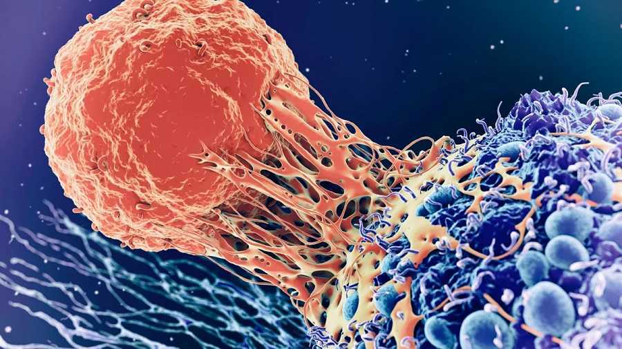 El cáncer: si todos hiciéramos esto, apenas lo tendríamos