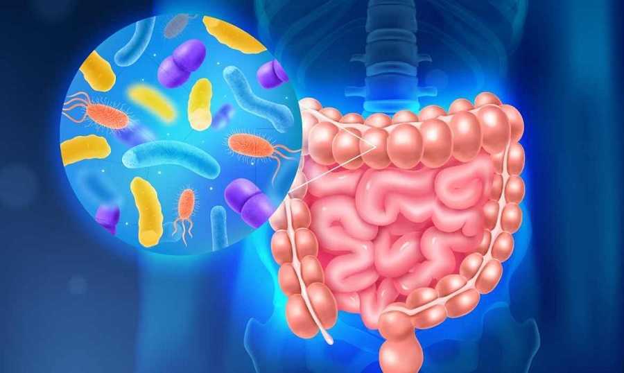 El secreto para gozar de la mejor salud