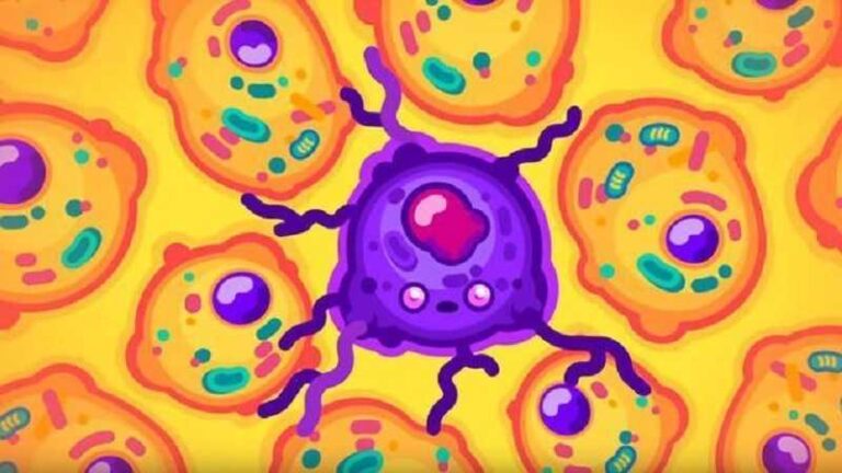 Paradoja del cáncer: por que a las ballenas azules no les da