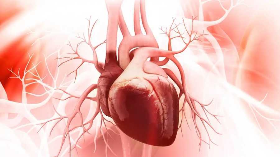 Cómo evitar un infarto / Dr. La Rosa