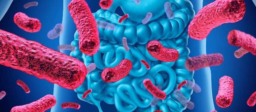 El secreto para gozar de la mejor salud