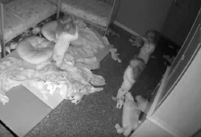 Tres grabaciones perturbadoras