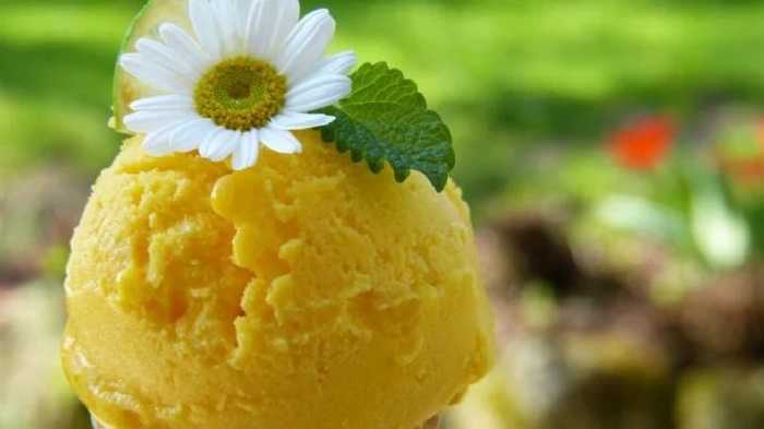 Helado de naranja