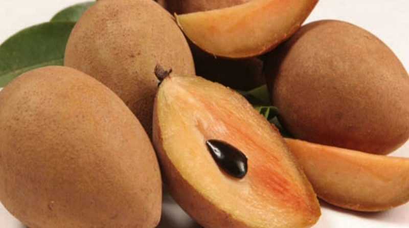 El níspero: conoce para qué sirve su consumo