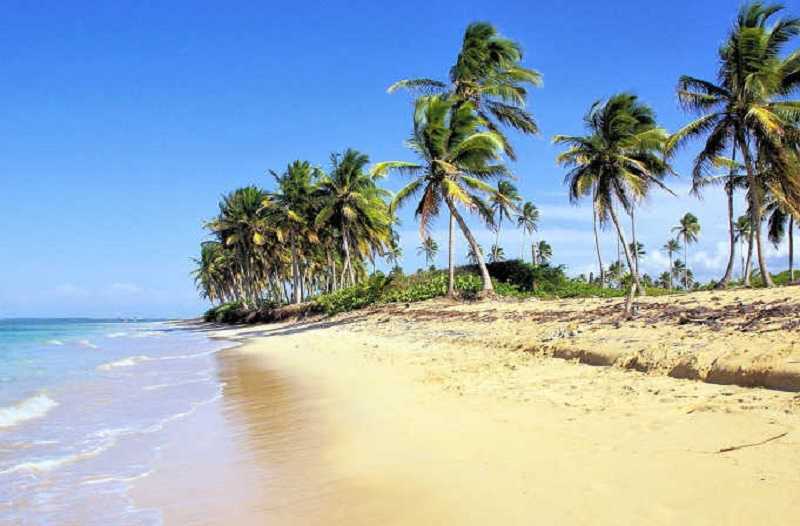 El pirata del Caribe